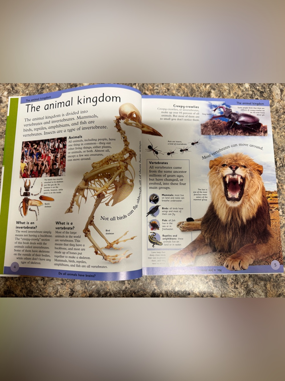 First Animal Encyclopedia - Picture 4 of 4